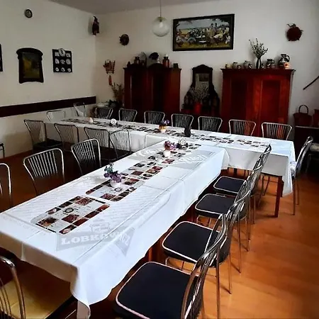 Guest house Na Figlene Slatinice