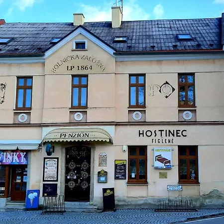 Na Figlene ゲストハウス Slatinice